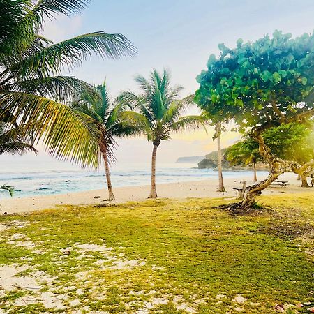 Cocon Des Iles Villa Anse-Bertrand Bagian luar foto